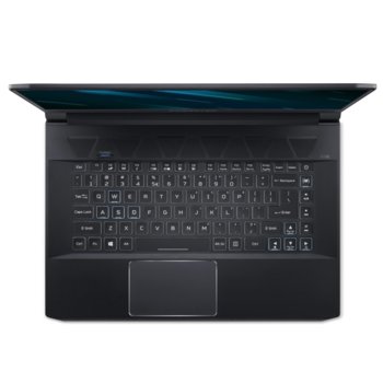 Acer Predator Triton 500 NH.Q4WEX.011