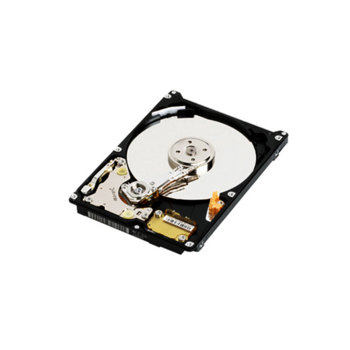 40GB, WD, ATA/100, 5400rpm, 8MB, 2.5