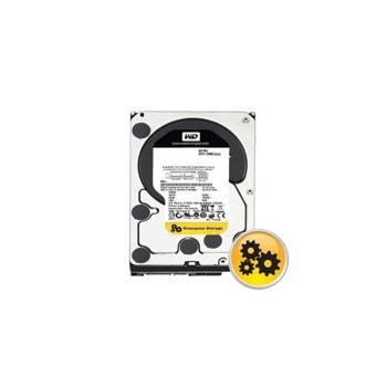 250GB WD Raid Edition4 SATA2 7200rpm 64MB 5г