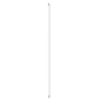 Ledvance Tube T8 EM S 2024120032