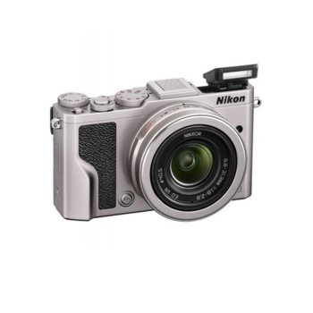 Nikon DL24-85 Silver