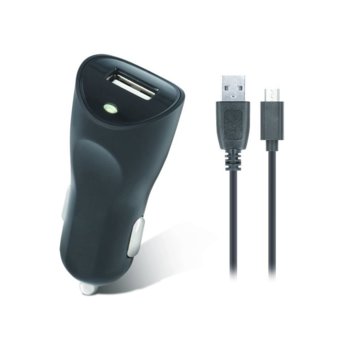 Setty Car Charger 1А microUSB