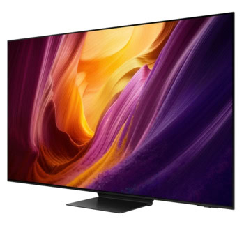 Samsung QE-55S95H QE55S95HFTXXH
