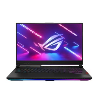 Asus ROG Strix SCAR 17 G733QS-HG001T