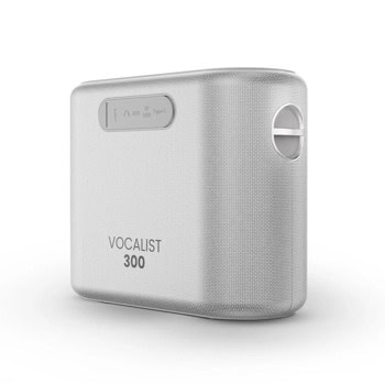 HiFuture Vocalist 300 Silver