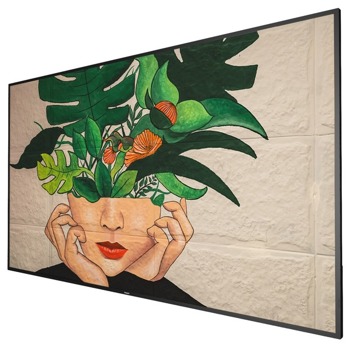 Публичен дисплей Philips 75BDL4511D/00, 75" (190.50 cm) 4K/UHD, DisplayPort, HDMI, DVI, USB, LAN | JAR Computers Philips 75BDL4511D/00