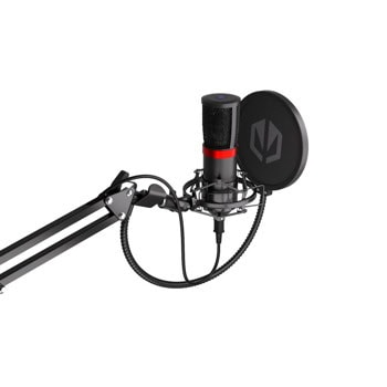 endorfy solum streaming ey1b004