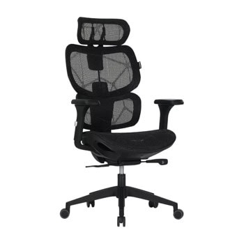Canyon Ventra MOCH01 CNS-MOCH01