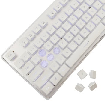 white shark tachi бяла