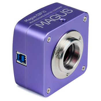 MAGUS Stereo D7T BASE