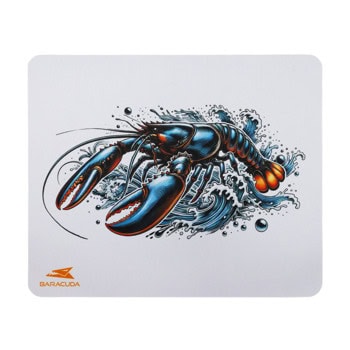 baracuda pad-lobster