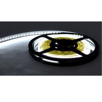LED лента Privileg SS5600B-W-6500K, 9.6W/m, 12V, 120LED/m | JAR Computers LED лента Privileg SS5600B-W-6500K