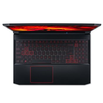 Acer Nitro 5 AN515-55-545J NH.QB1EX.001