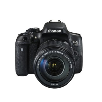 Canon EOS 750D + EF-s 18-135mm IS STM + CS100