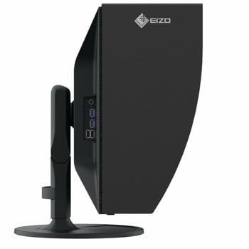 EIZO CG3100X