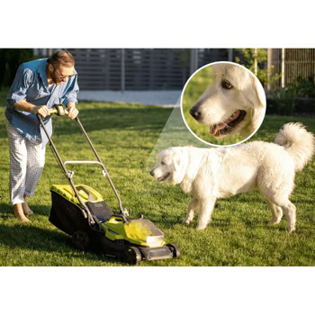 Imou Cruiser 2C 5MP IPC-S7CP-5M0WE