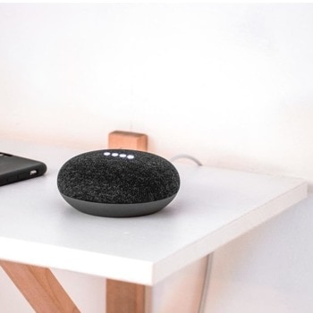 Google Nest Mini Smart Home Black