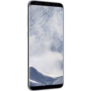 Samsung Galaxy S8 Plus, Arctic Silver
