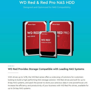 Western Digital Red Plus NAS 10TB WD101EFAX