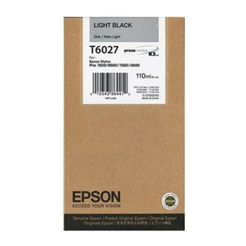 Epson (C13T602700) Light Black