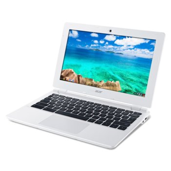 11.6 Acer CB3-111 Chromebook NX.MQNEH.003