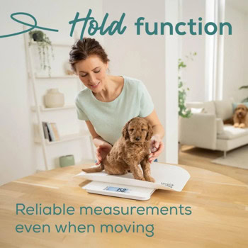 Beurer PP 170 Polly 10537_BEU