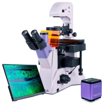 Флуоресцентен тринокулярен инвертиран цифров микроскоп MAGUS Lum VD500L LCD, 100-400x оптично увеличение, 30mm диаметър на тръбата на окуляра, халогенно/флуоресцентнo осветление, цифрова камера MAGUS CHD40, течнокристален монитор MAGUS MCD40 | JAR Computers MAGUS Lum VD500L LCD