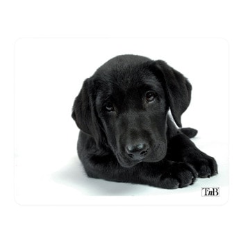 Подложка за мишка TnB TSDOG, рисунка, 220 x 180 x 3 мм | JAR Computers Подложка за мишка TnB TSDOG