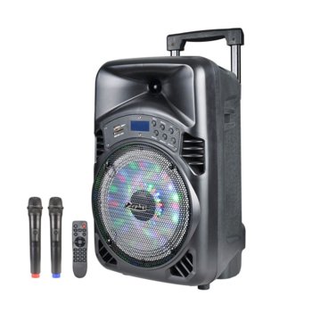 Преносима караоке колона Zephyr ZP 9999 D8, 40W, Bluetooth, MP3, 2 бр. безжични микрофона, черна | JAR Computers Zephyr ZP 9999 D8
