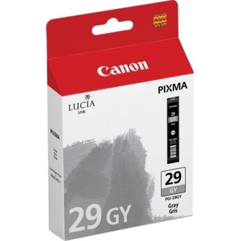 Canon PGI-29 (4871B001AA) Grey