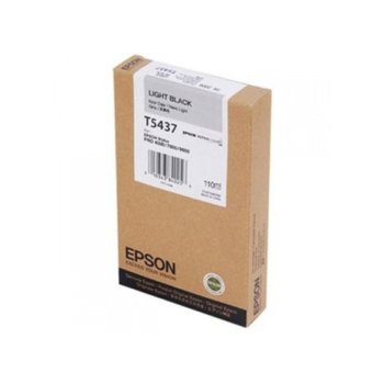 Epson (C13T543700)Light Black