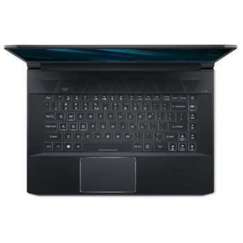 Acer Predator Triton 500 (NH.Q4WEX.017)