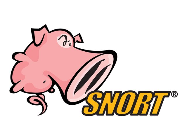 Snort Subscriber Ruleset for ISR4431, 1 Year Subscription