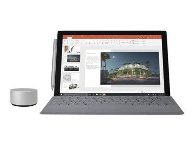 MICROSOFT Surface Pro11 5G Snapdragon X Elite 13inch 16GB 512GB W11P CEE Comm Platinum