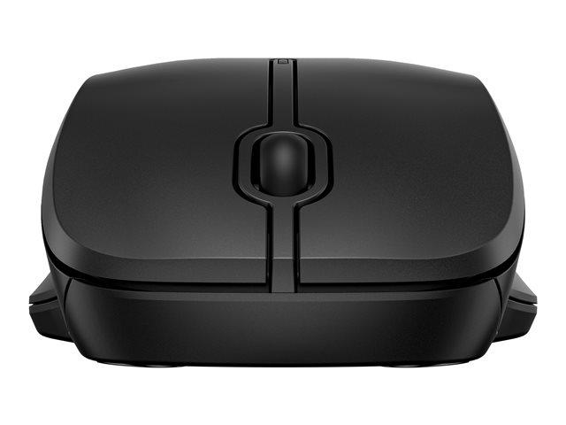 HP 255 Dual Wireless Mouse (EN)