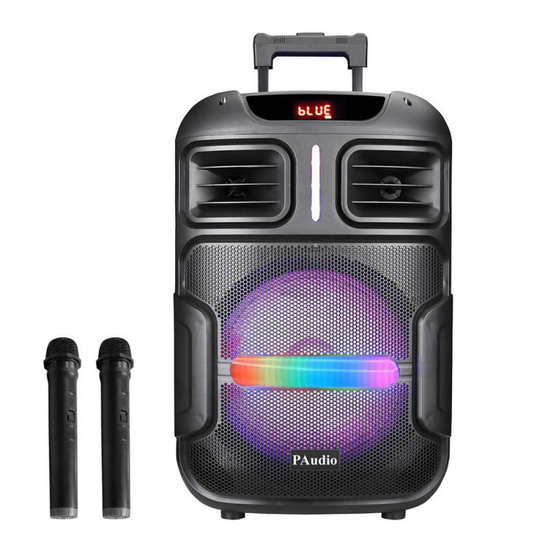 PROF SP PA-122 MP3/MIC/BAT/RC/BLUETOOTH