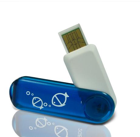 Флаш памет 8GB - PQI i261 Flash 8GB | JAR Computers Флаш памет 8GB - PQI i261 Flash 8GB