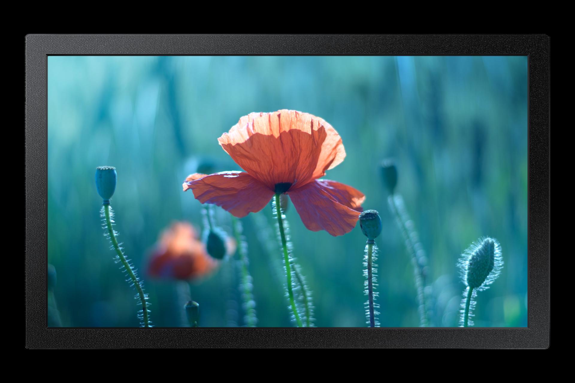 Интерактивен дисплей 13" Samsung Digital Signage QB13C Black - PN LH13QBCEBGBXEN | JAR Computers Интерактивен дисплей 13" Samsung Digital Signage QB13C Black - PN LH13QBCEBGBXEN