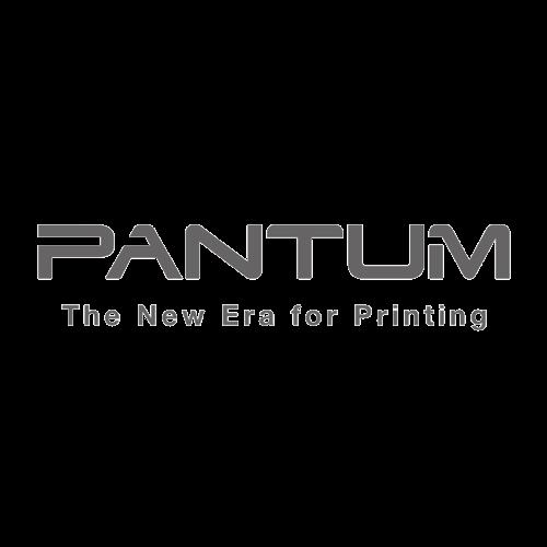 ПАНТА (GLASS PLATEN HINGE) ЗА PANTUM M6700/M7100/M6800/M7200 Series - PANTUM OEM SPARE PART - PN 323001