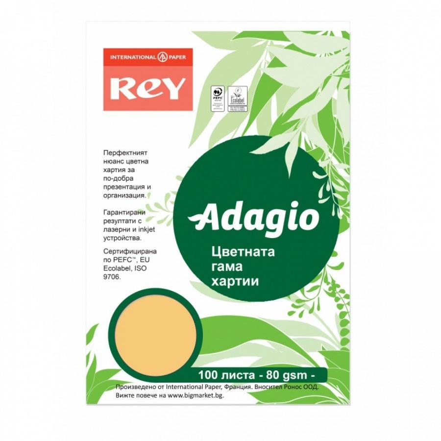 Копирна хартия REY Adagio, A4, 80 г, наситен цвят Beige (98), пакет 100 л. | JAR Computers Копирна хартия REY Adagio, A4, 80 г, наситен цвят Beige (98), пакет 100 л.