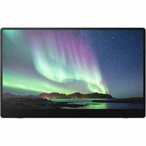 Монитор Ricoh PORTABLE MONITOR