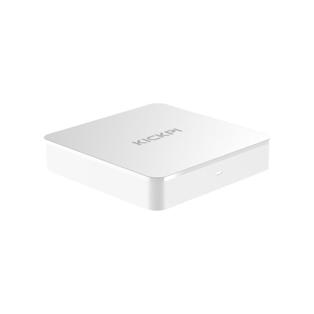 Zehnder Google Certified ATV Box (KICKPI-KP1) (ZEHKICKPI-KP1)