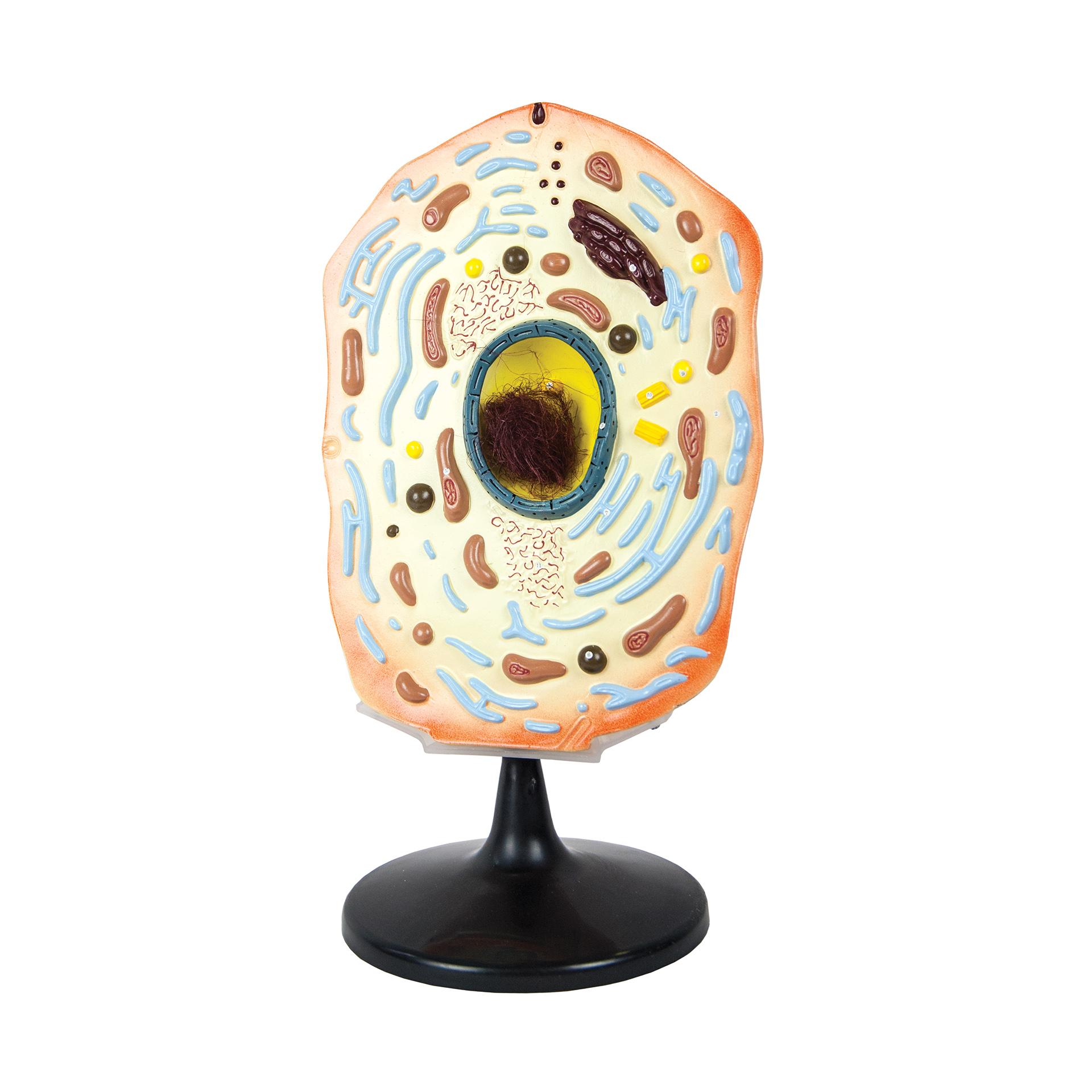 Nowa Szkola Модел на животинска клетка, 30 х 20 х 51 cm | JAR Computers Nowa Szkola Модел на животинска клетка, 30 х 20 х 51 cm