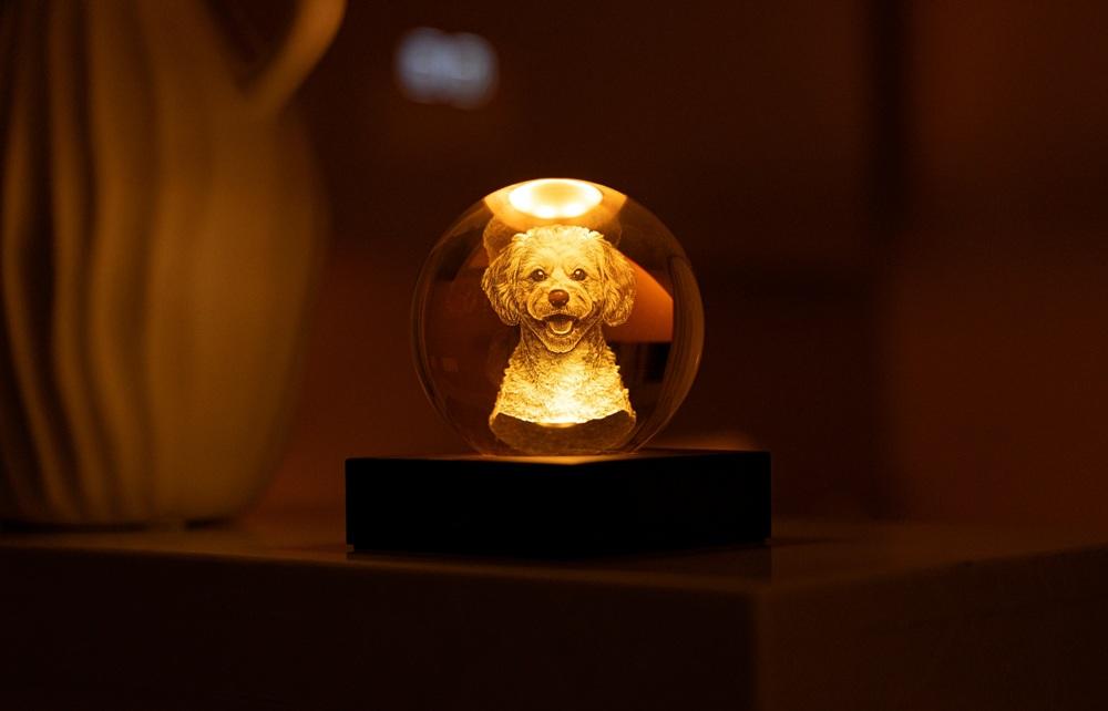 Нощна лампа Gingko Amber Crystal Light Doodle Dog