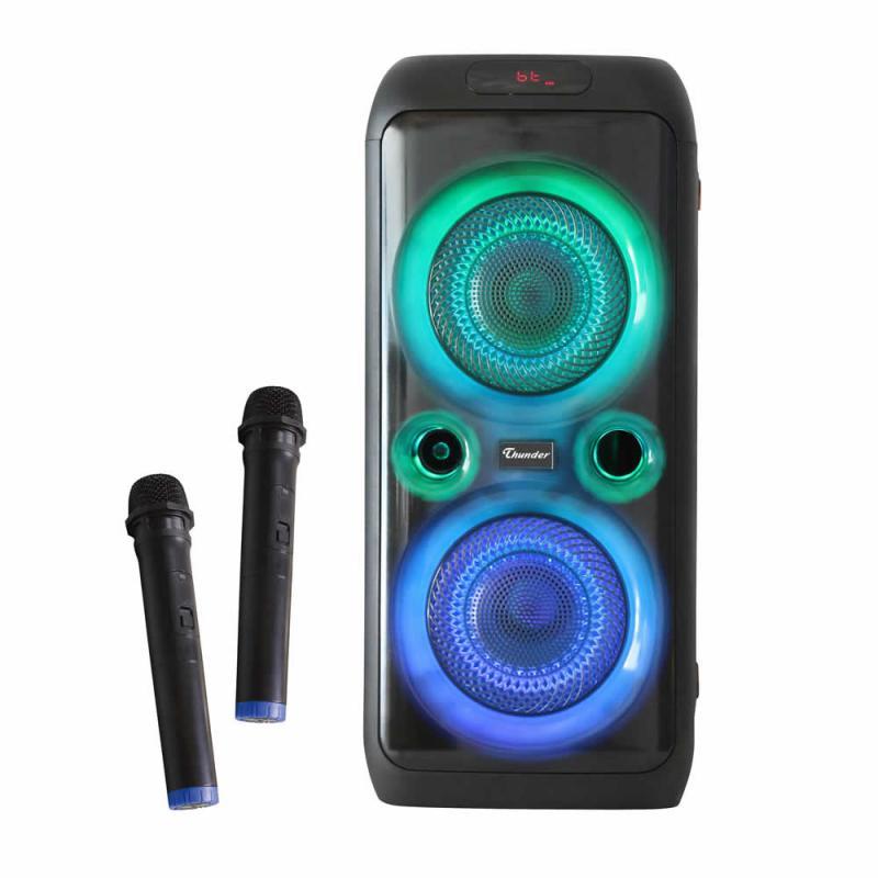 PROF SP THS-B822 2x8Н MP3/MIC/BAT/RC/BLUETOOTH