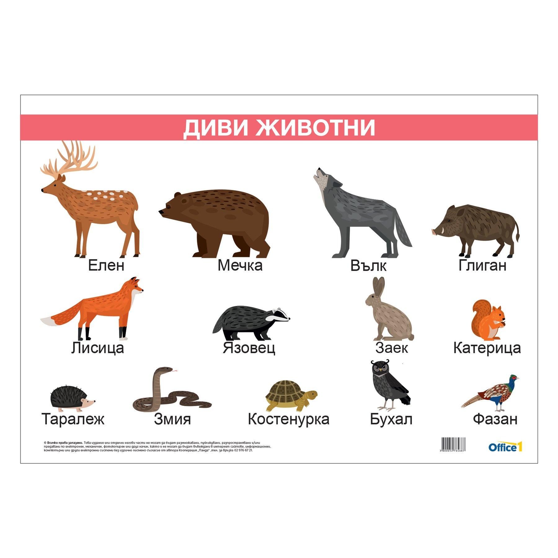 Office 1 Ученическо табло ''Диви животни'', ламинирано, 50 x 70 cm, модел 1 | JAR Computers Office 1 Ученическо табло ''Диви животни'', ламинирано, 50 x 70 cm, модел 1