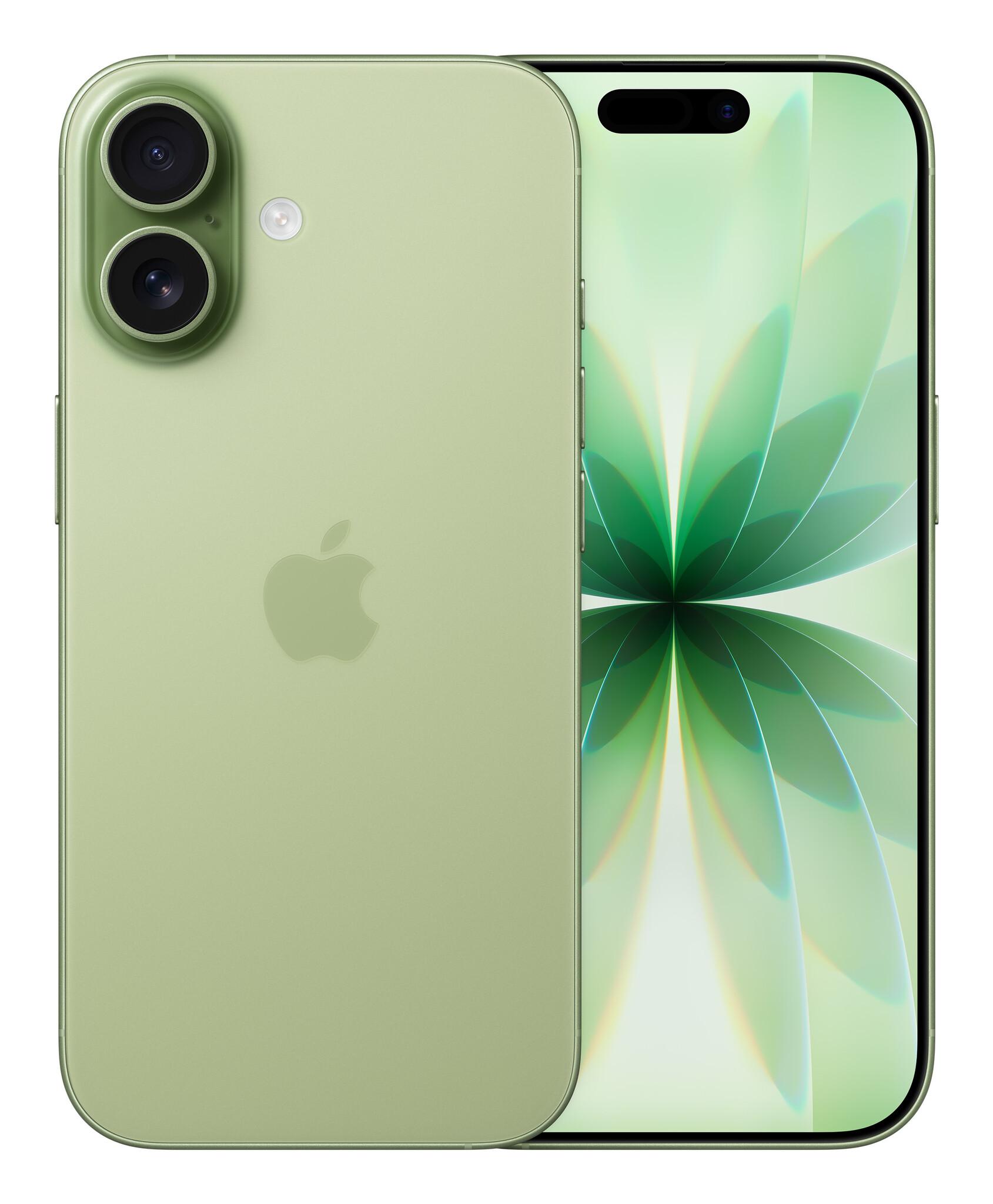Apple iPhone 17 16 см (6.3") Двойна SIM карта iOS 26 5G UBS тип C 256 GB Градински чай | JAR Computers Apple iPhone 17 16 см (6.3") Двойна SIM карта iOS 26 5G UBS тип C 256 GB Градински чай