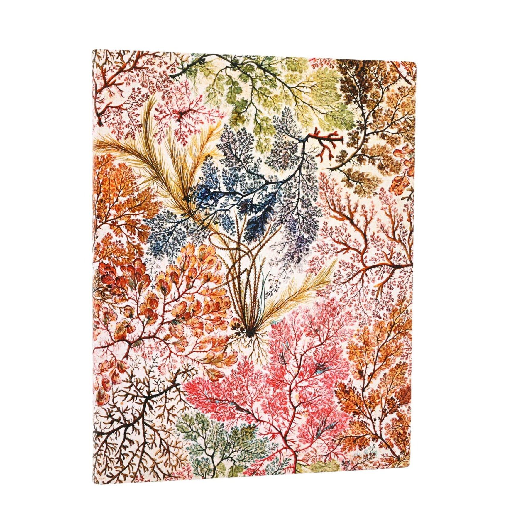 Paperblanks Тефтер Anemone, Ultra, мека корица, 88 листа