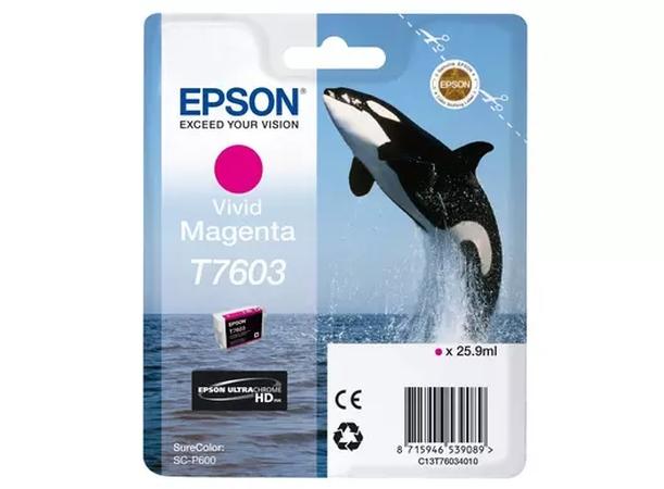 Epson T7603 Viv Magenta