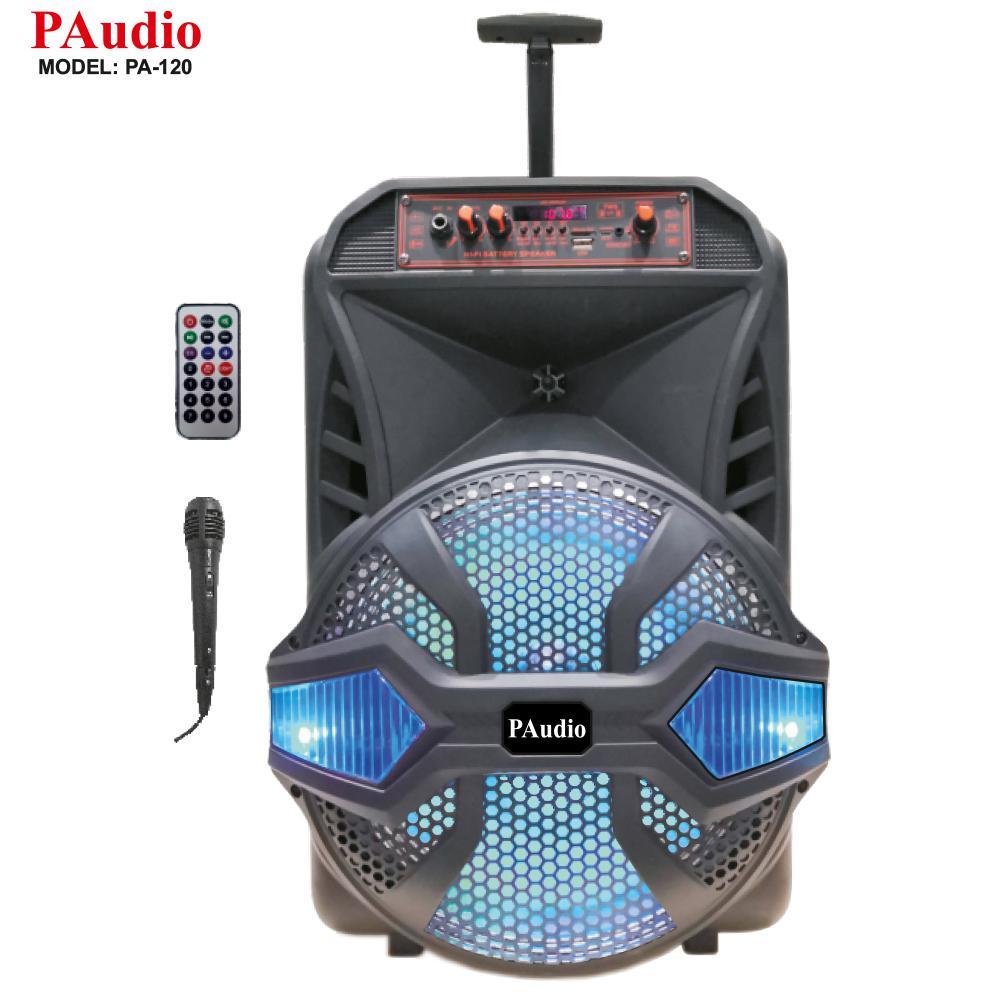 PROF SP PA-120 MP3/MIC/BAT/RC/BLUETOOTH